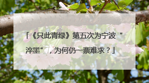 《只此青绿》第五次为宁波“淬墨”，为何仍一票难求？