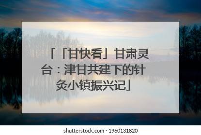 「甘快看」甘肃灵台：津甘共建下的针灸小镇振兴记