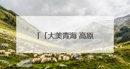 「大美青海 高原足球」赛场上的精彩 展区里的惊喜