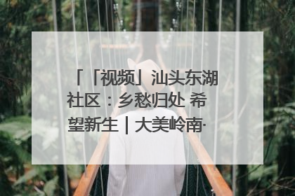 「视频」汕头东湖社区：乡愁归处 希望新生｜大美岭南·百村焕新记