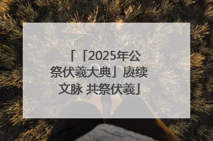 「2025年公祭伏羲大典」赓续文脉 共祭伏羲