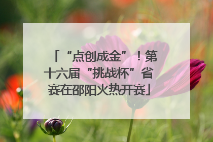 “点创成金”！第十六届“挑战杯”省赛在邵阳火热开赛