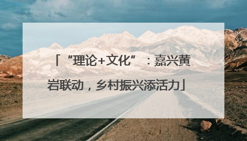 “理论+文化”：嘉兴黄岩联动，乡村振兴添活力