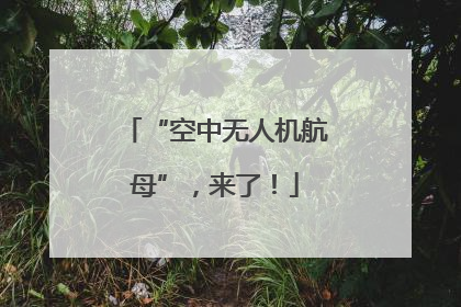 “空中无人机航母”，来了！