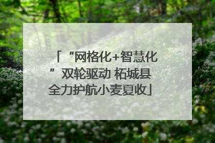 “网格化+智慧化”双轮驱动 柘城县全力护航小麦夏收