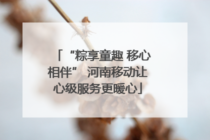 “粽享童趣 移心相伴” 河南移动让心级服务更暖心
