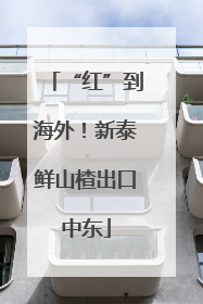 “红”到海外！新泰鲜山楂出口中东