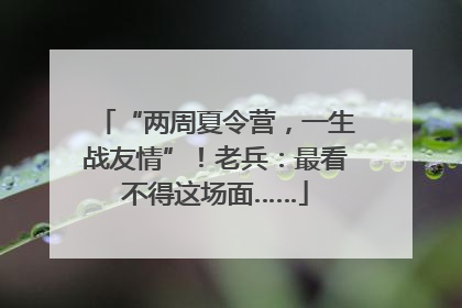 “两周夏令营，一生战友情”！老兵：最看不得这场面……