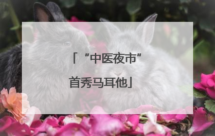 “中医夜市”首秀马耳他