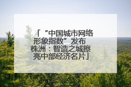 “中国城市网络形象指数”发布 株洲：智造之城擦亮中部经济名片