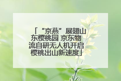 “京燕”展翅山东樱桃园 京东物流自研无人机开启樱桃出山新速度