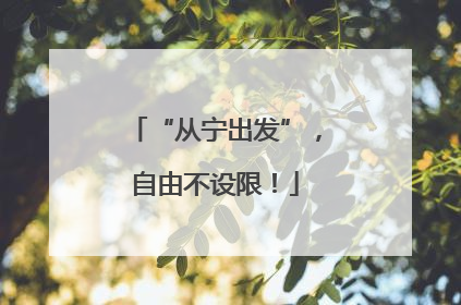 “从宁出发”，自由不设限！