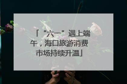 “六一”遇上端午，海口旅游消费市场持续升温