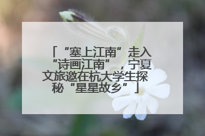 “塞上江南”走入“诗画江南”，宁夏文旅邀在杭大学生探秘“星星故乡”