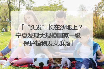 “头发”长在沙地上？宁夏发现大规模国家一级保护植物发菜群落