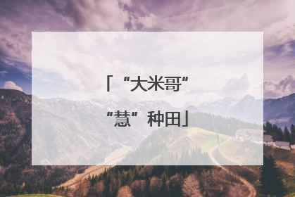 “大米哥”“慧”种田