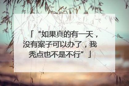 “如果真的有一天，没有案子可以办了，我秃点也不是不行”