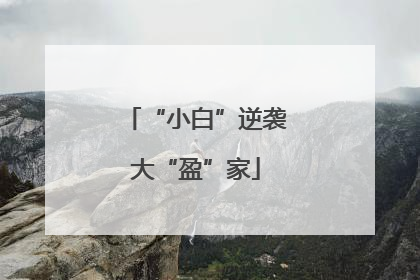 “小白”逆袭大“盈”家
