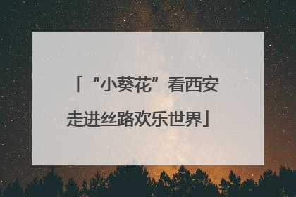 “小葵花”看西安走进丝路欢乐世界
