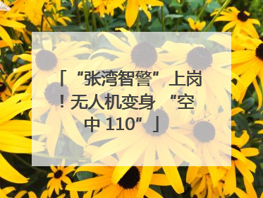 “张湾智警”上岗！无人机变身 “空中 110”