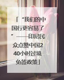 “我们的中国行更容易了”——印尼民众点赞中国240小时过境免签政策
