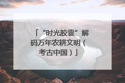 “时光胶囊”解码万年农耕文明（考古中国）
