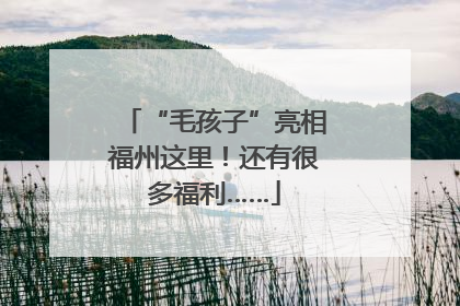 “毛孩子”亮相福州这里！还有很多福利……