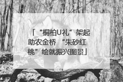 “桐柏U礼”架起助农金桥 “朱砂红桃”绘就振兴图景