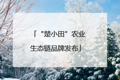 “楚小田”农业生态链品牌发布