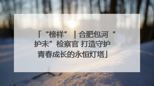 “榜样”｜合肥包河“护未”检察官 打造守护青春成长的永恒灯塔