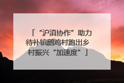 “沪滇协作”助力待补镇鹧鸡村跑出乡村振兴“加速度”