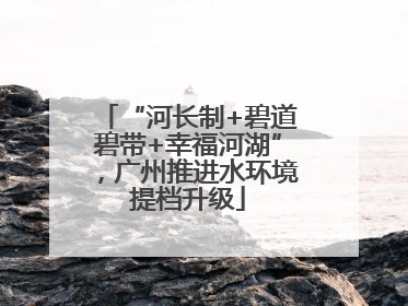 “河长制+碧道碧带+幸福河湖”，广州推进水环境提档升级