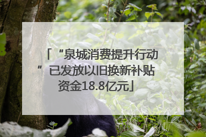 “泉城消费提升行动”已发放以旧换新补贴资金18.8亿元