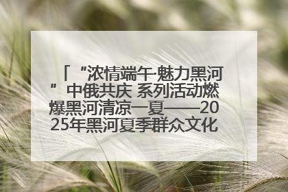 “浓情端午·魅力黑河”中俄共庆 系列活动燃爆黑河清凉一夏——2025年黑河夏季群众文化活动启幕 多元文化赋能边境文旅新高地