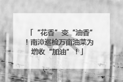 “花香”变“油香”！南漳巡检万亩油菜为增收“加油”！