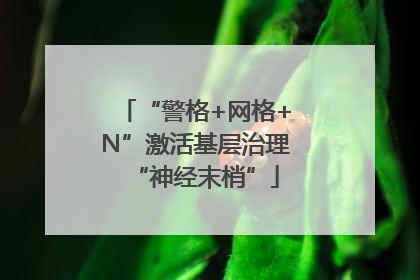 “警格+网格+N”激活基层治理“神经末梢”