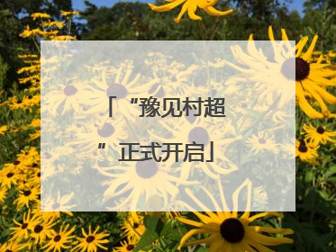 “豫见村超”正式开启