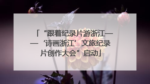 “跟着纪录片游浙江——‘诗画浙江’文旅纪录片创作大会”启动