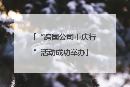 “跨国公司重庆行”活动成功举办