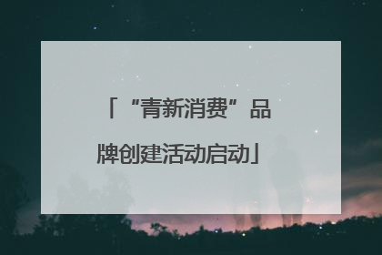 “青新消费”品牌创建活动启动