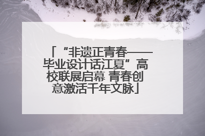 “非遗正青春——毕业设计话江夏”高校联展启幕 青春创意激活千年文脉