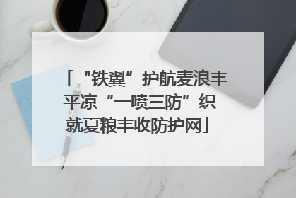 “铁翼”护航麦浪丰 平凉“一喷三防”织就夏粮丰收防护网