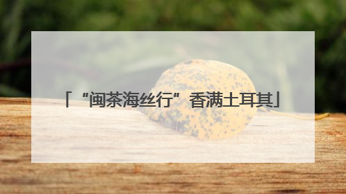 “闽茶海丝行”香满土耳其