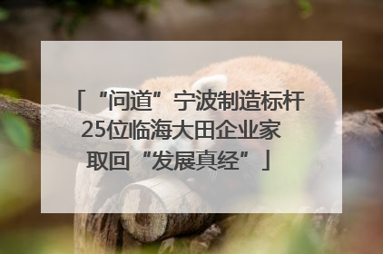 “问道”宁波制造标杆 25位临海大田企业家取回“发展真经”