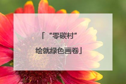 “零碳村” 绘就绿色画卷