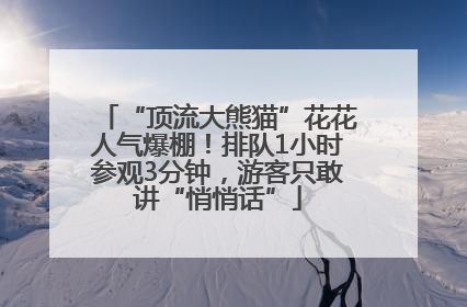 “顶流大熊猫”花花人气爆棚！排队1小时参观3分钟，游客只敢讲“悄悄话”