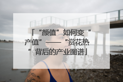 “颜值”如何变“产值”——“赏花热”背后的产业图谱