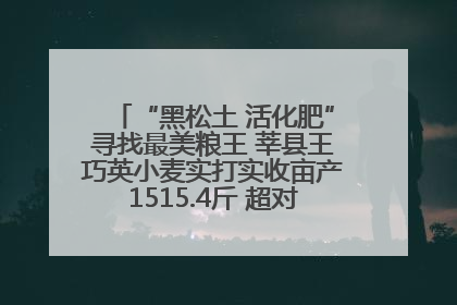“黑松土 活化肥”寻找最美粮王 莘县王巧英小麦实打实收亩产1515.4斤 超对照田144斤！