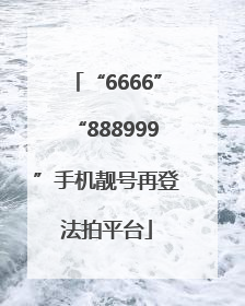 “6666”“888999”手机靓号再登法拍平台
