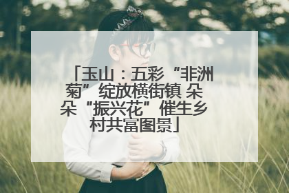 玉山：五彩“非洲菊”绽放横街镇 朵朵“振兴花”催生乡村共富图景